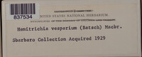 Image Associated With the Occurence